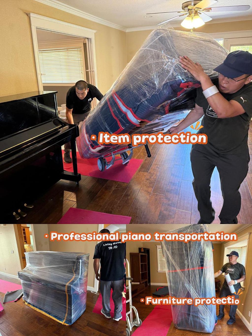 Projects and media