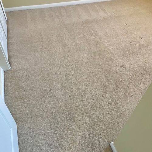 Exceptional carpet cleaning service! Fast, profess