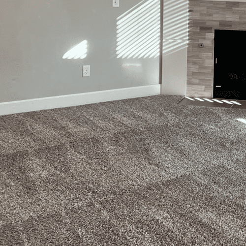 Carpet Cleaning