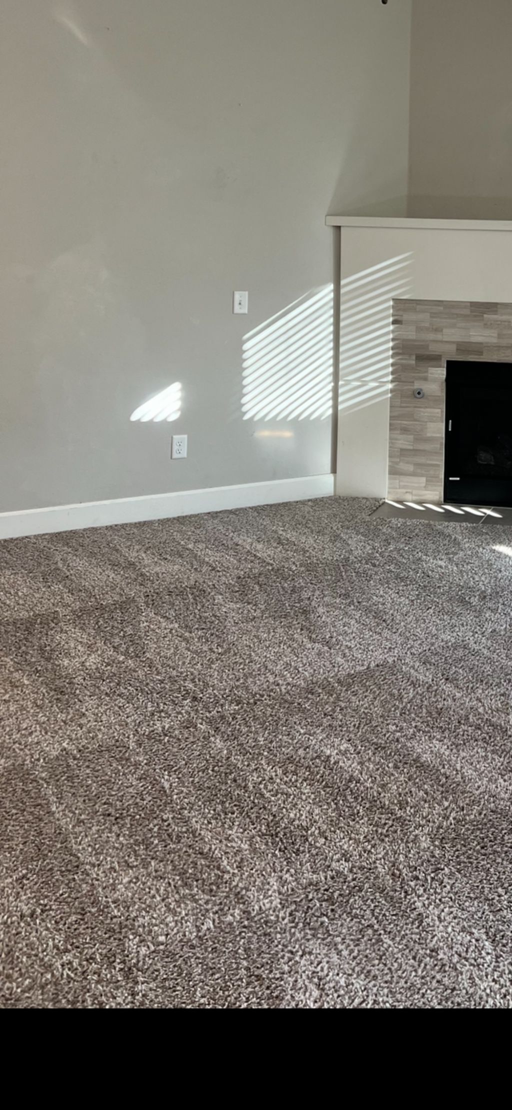 Carpet Cleaning