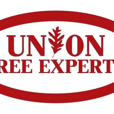 Avatar for Union Tree Experts, Inc.