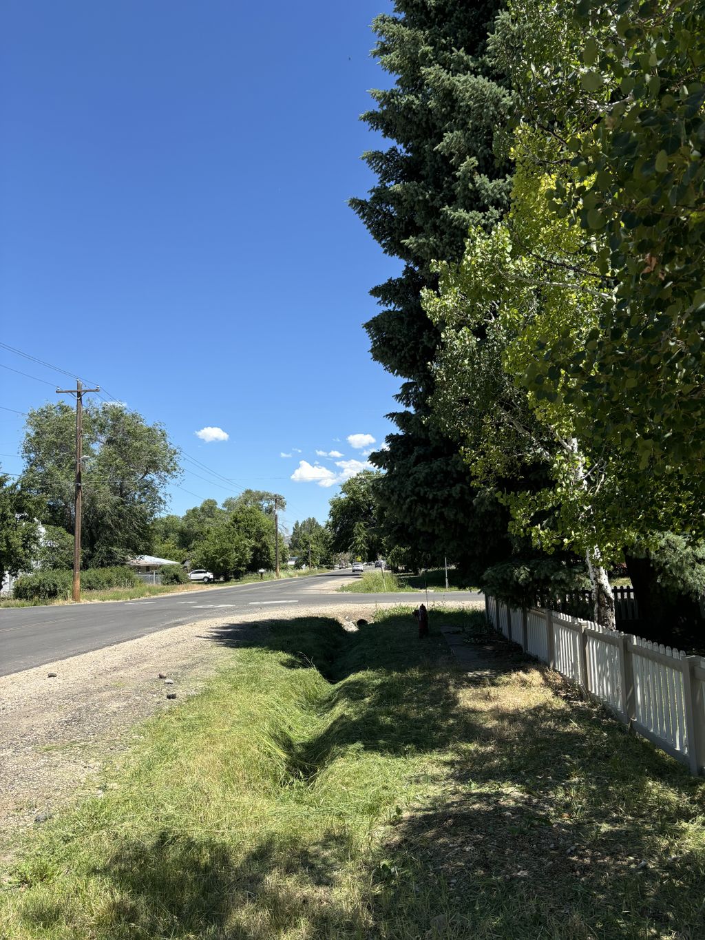 Lawn Mowing and Trimming