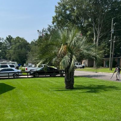 Avatar for Stop Drop and Roll Landscaping LLC