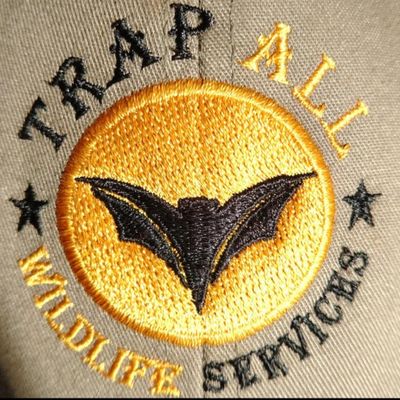 Avatar for Trap All Wildlife Removal