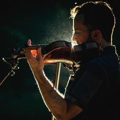 Avatar for Mike D on Violin