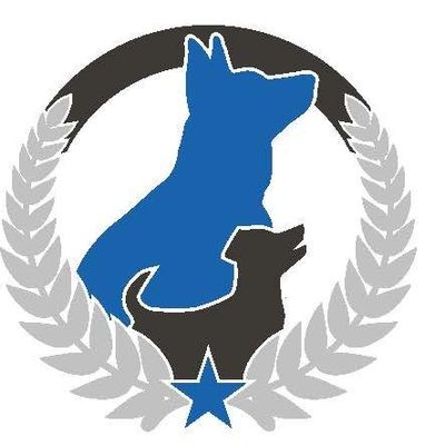 Avatar for Dog Training Elite