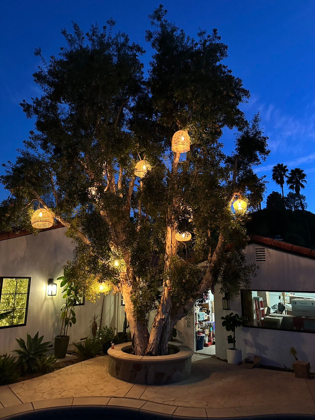 Install the lights on the tree