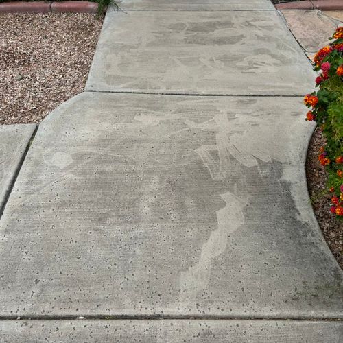 Organic growth and dirt on walkway to front door. 