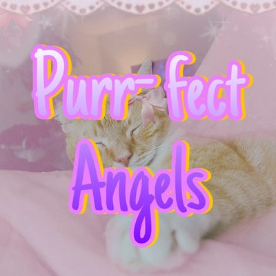 Avatar for purr-fect angels