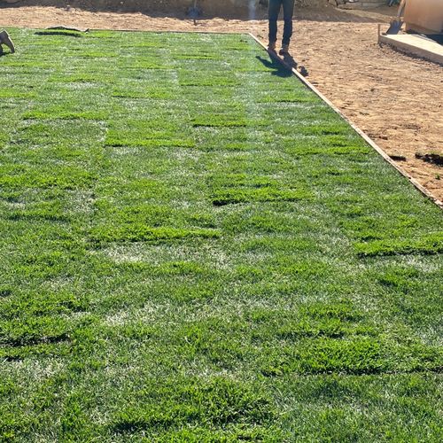 Sod Installation