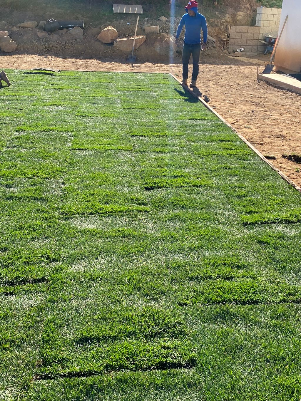 Sod Installation