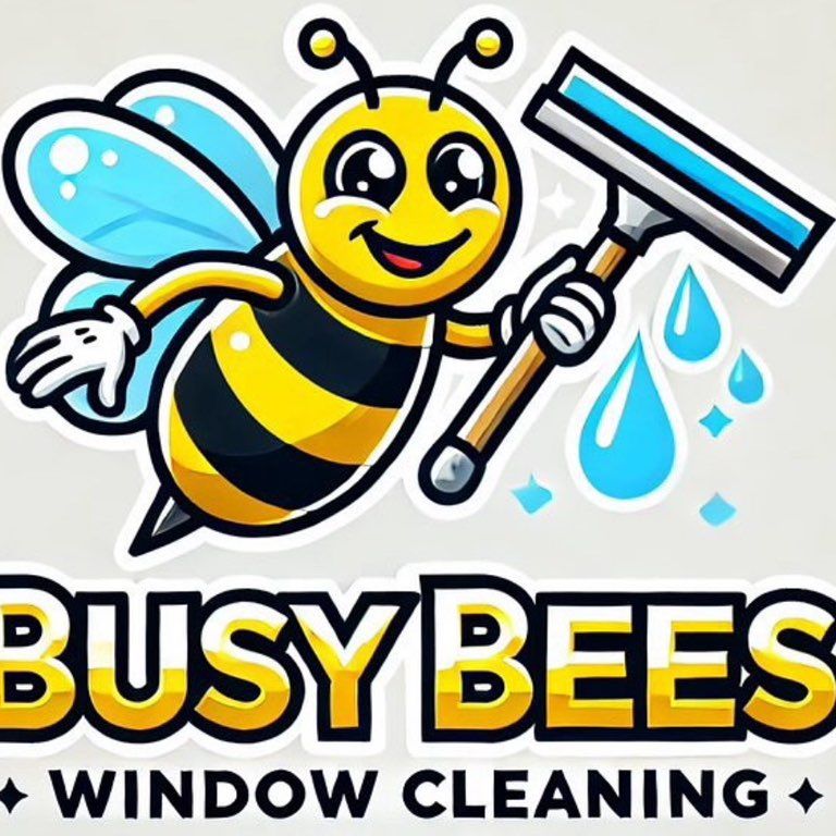 Busy Bees Window Cleaning