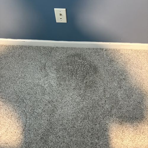 Carpet Repair or Partial Replacement