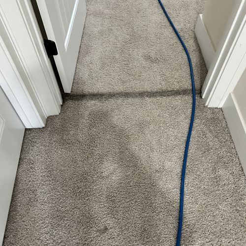 Carpet Cleaning