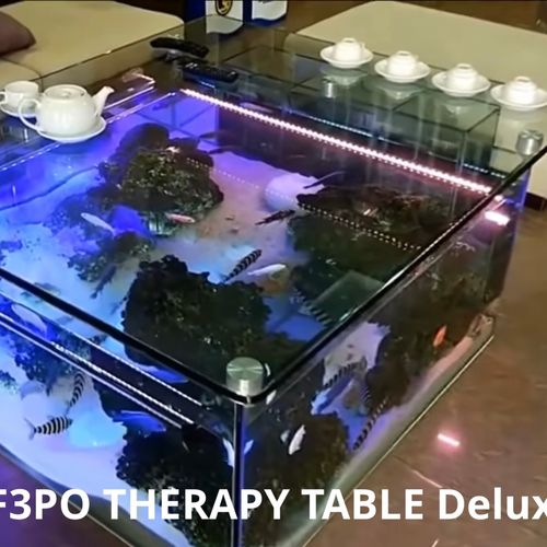 Aquarium Waiting Room Table/Living room furniture 