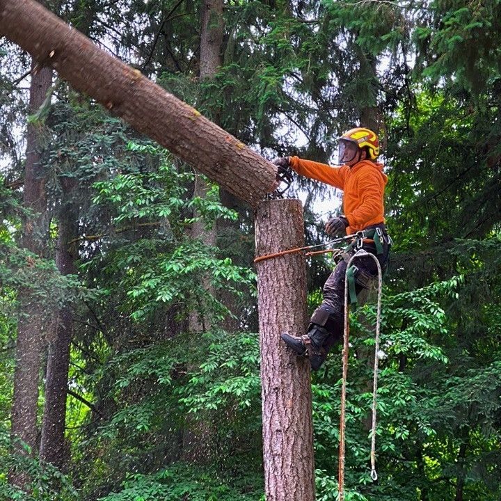 TOTAL TREE REMOVAL LLC