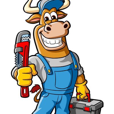 Avatar for Taurus Plumbing