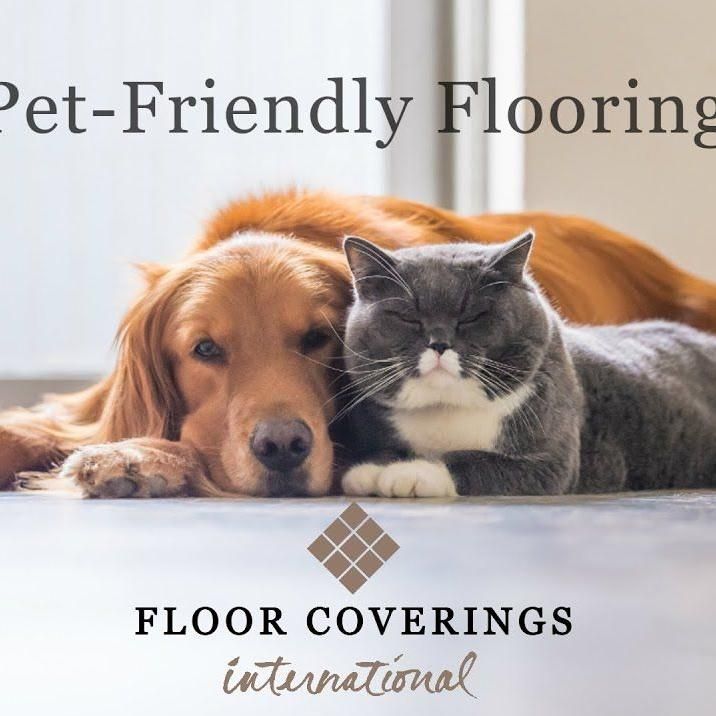 Floor Coverings International Boulder