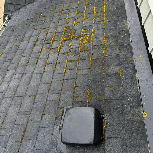 Roof Cleaning