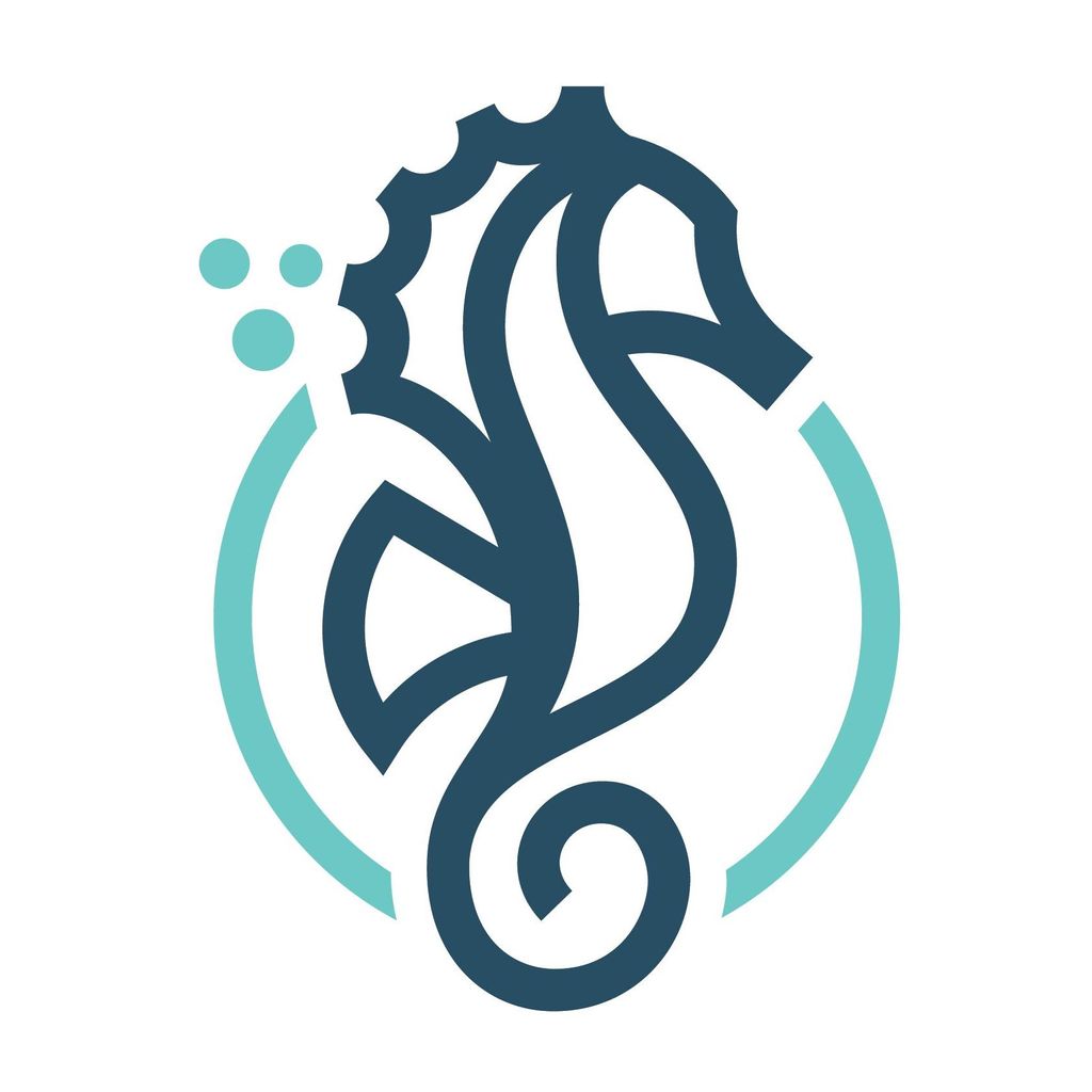 Seahorse Cleaning & Restoration