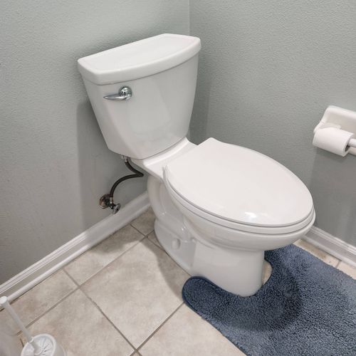 New Toilet Installation / Old Toilet Removal