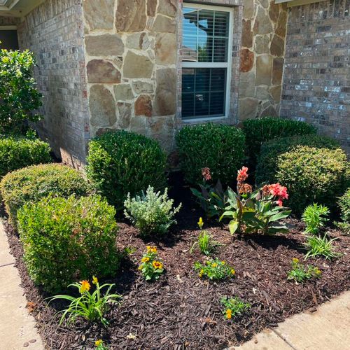 Flowerbed redesign and refresh