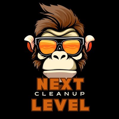 Avatar for Next Level Cleanup