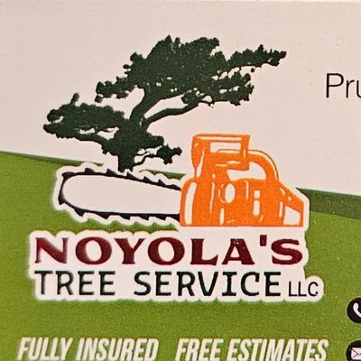 Avatar for Noyola's Tree Service