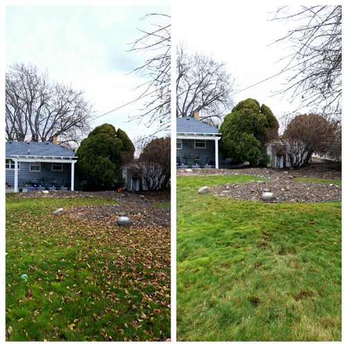 Shrub Trimming and Removal