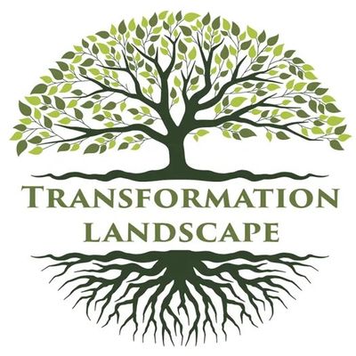 Avatar for Transformation Landscape