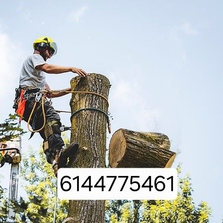 ELITE STUMP GRINDING LLC