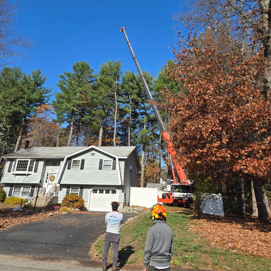 MC TREE SERVICE AND LANDSCAPING, INC