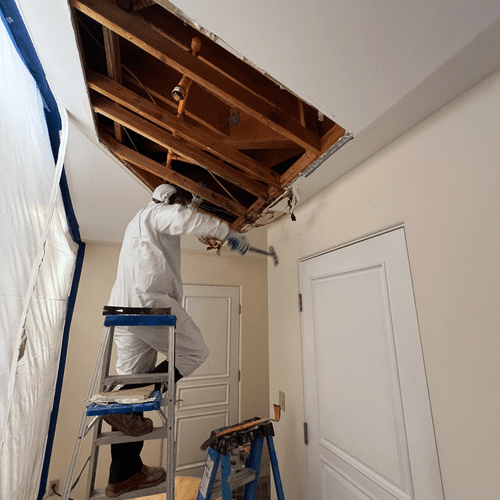 Mold Inspection and Removal