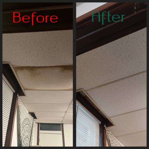 Drop Ceiling Repair 