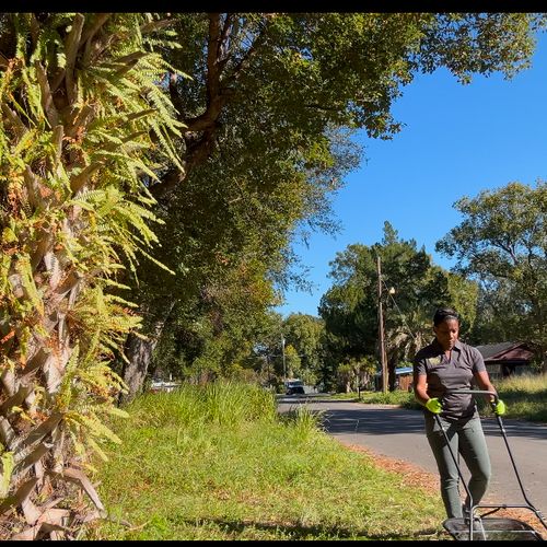 Lawn Mowing and Trimming