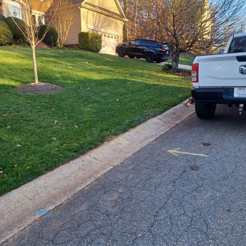 Irrigation installation with new yard