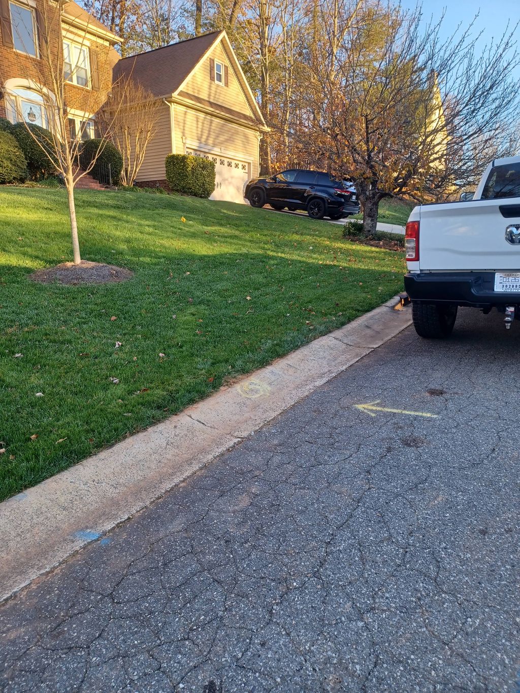 Irrigation installation with new yard