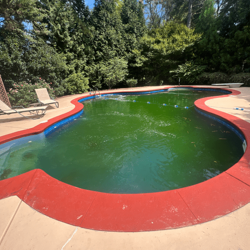 Swimming Pool Cleaning, Maintenance, and Inspection