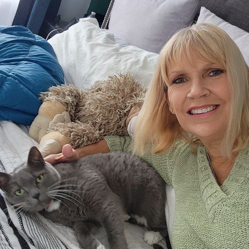 We hired Linda to care for our 4 cats over a week 