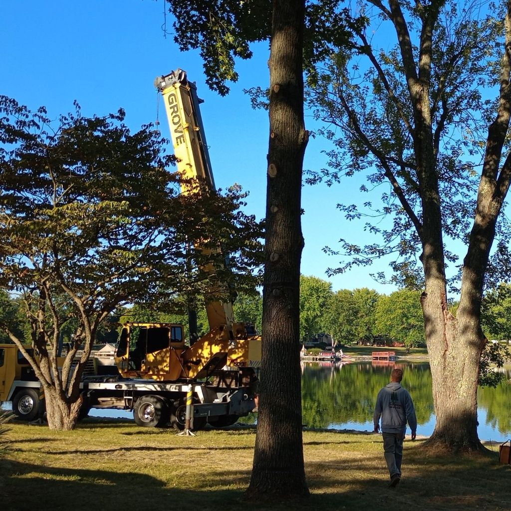 Chief Beaver Tree Service