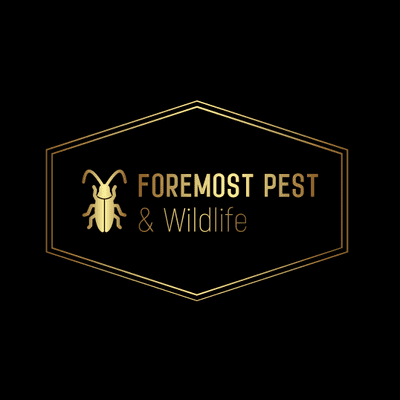 Avatar for Foremost Pest & Wildlife