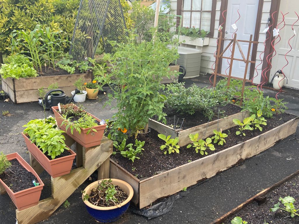 Raised bed garden 
