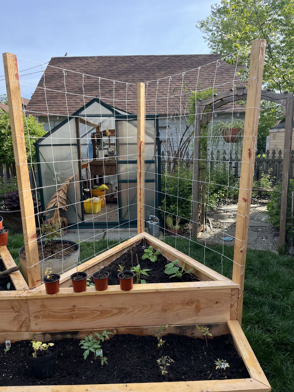 New raised beds 