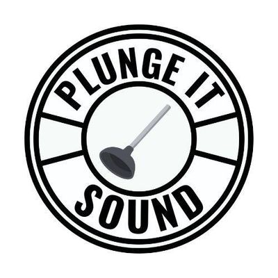 Avatar for Plunge It Sound LLC