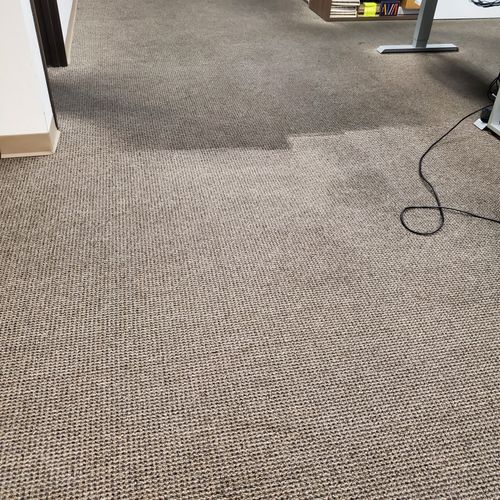 Commercial Office Carpet in Process- Sever Stainin