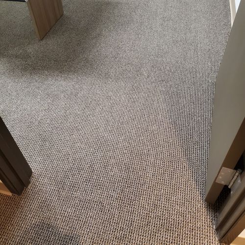 Commercial Carpet Cleaning After