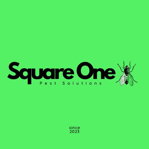 Square One Pest Solutions