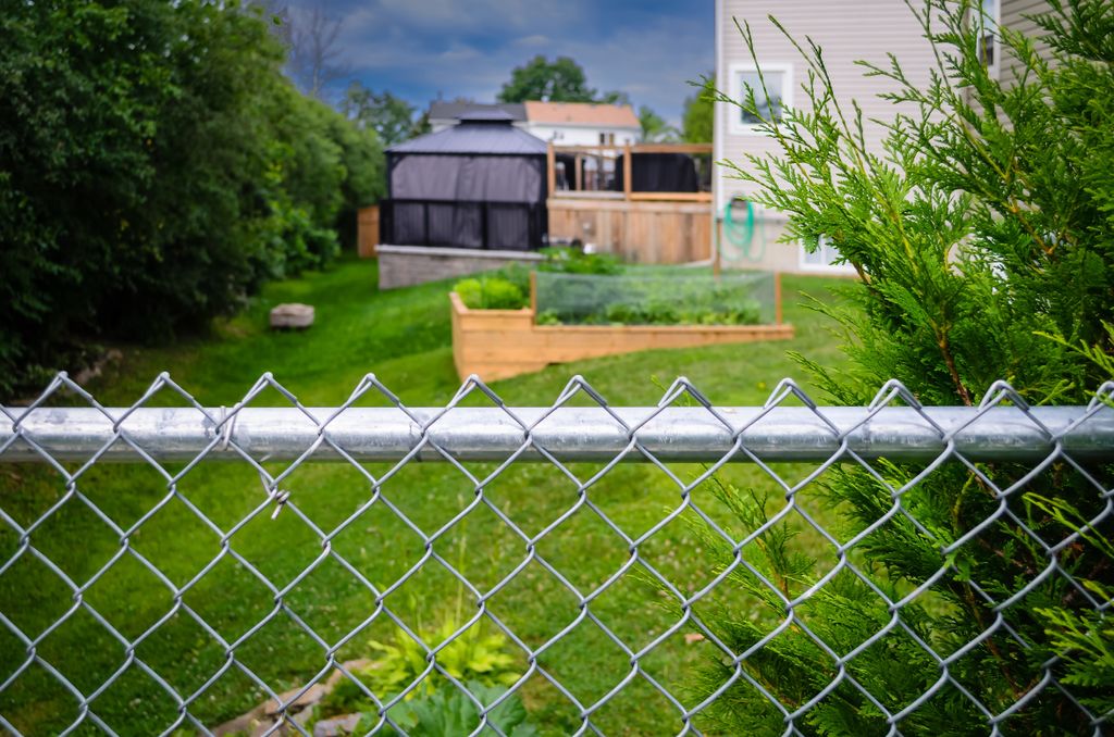 Chain Link Fence