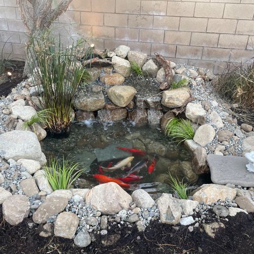 Aaron and his team revamped my pond in November, 2