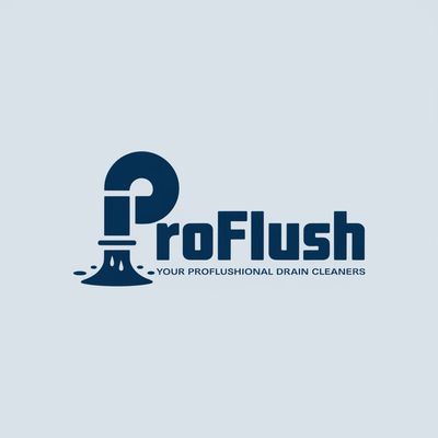 Avatar for ProFlush Drain cleaning and pipe repair